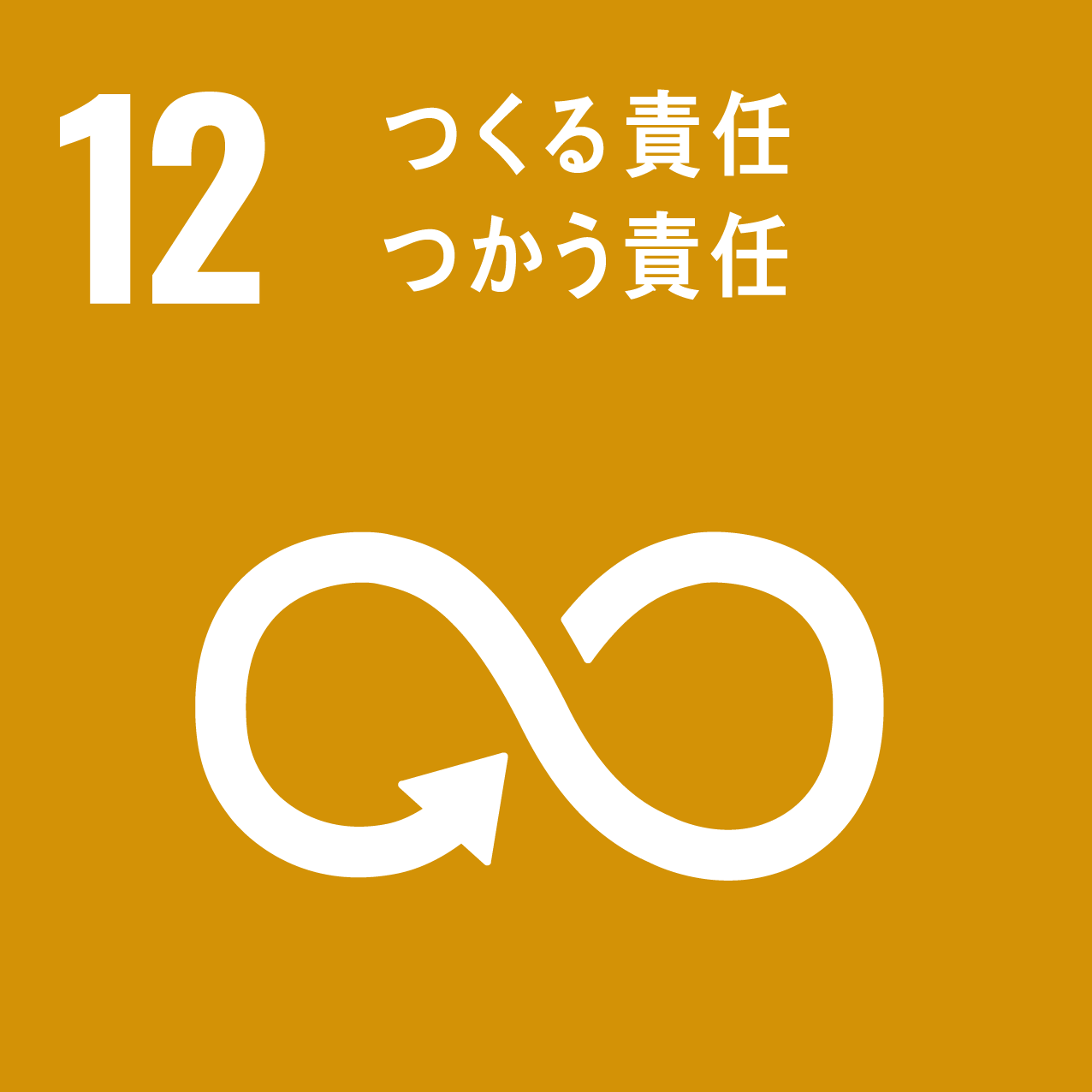 sdg icon 12