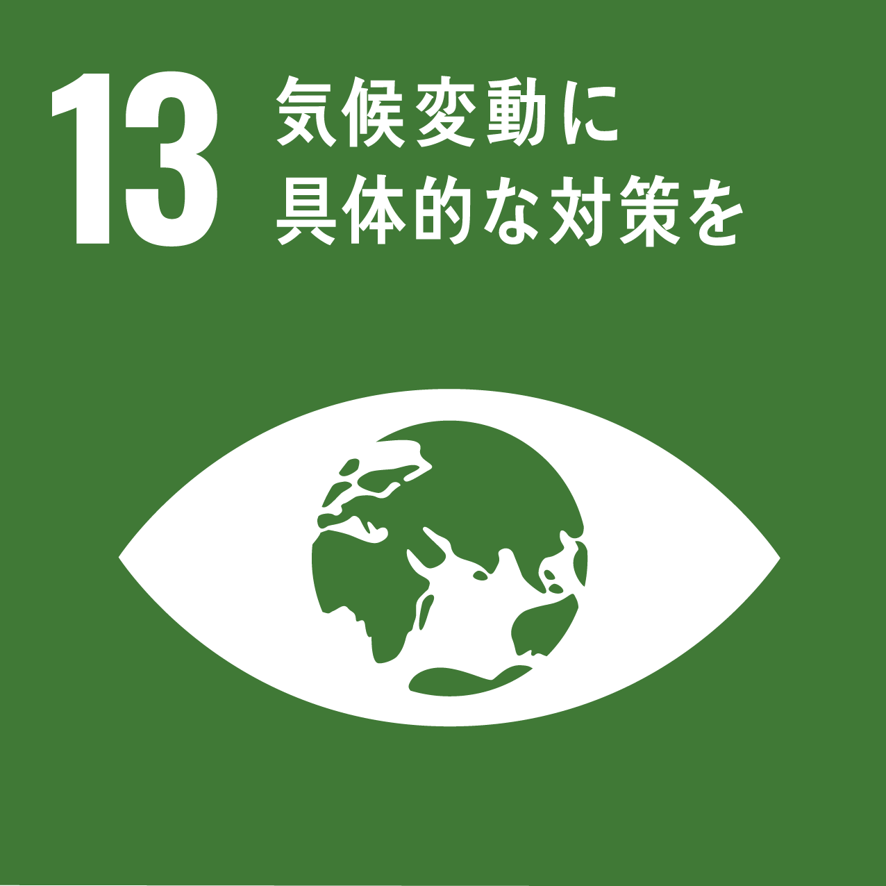 sdg icon 13